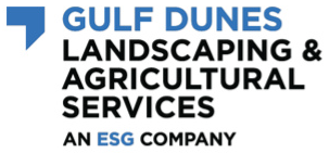 Gulf Dunes